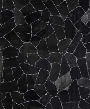 OBSIDIAN SILVER VEINES